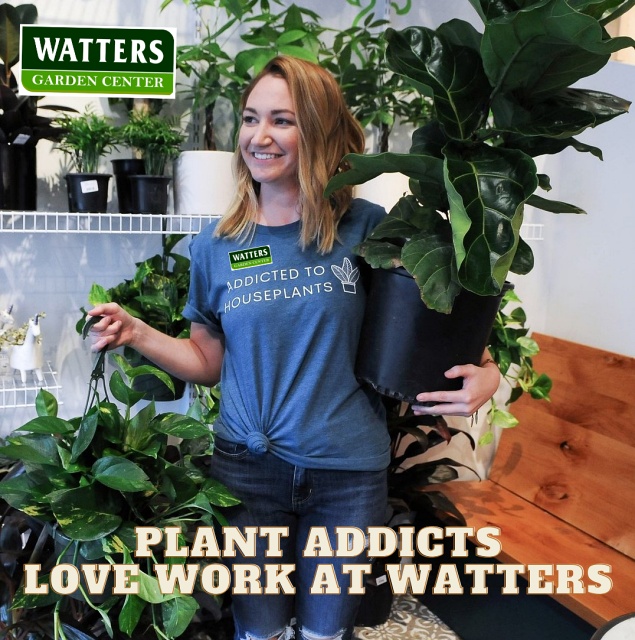 Plant Addicts Love to work at watters