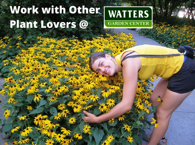 Work with Other Plant Lovers