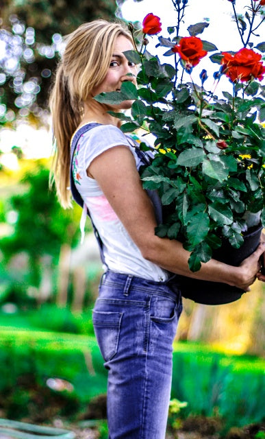 woman holding a rose bush