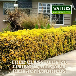 Free Class July 20 Living Walls & Privacy Barriers