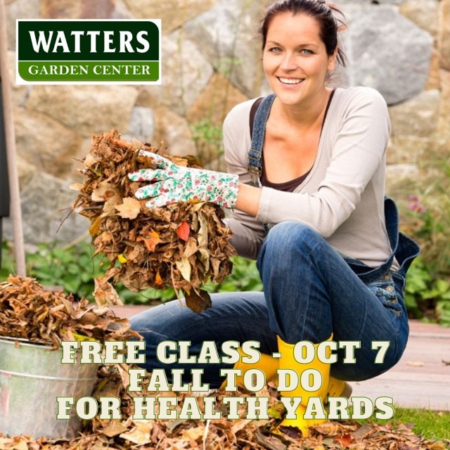October 7 Class Fall ‘To-do‘ list for a Healthy Yard 