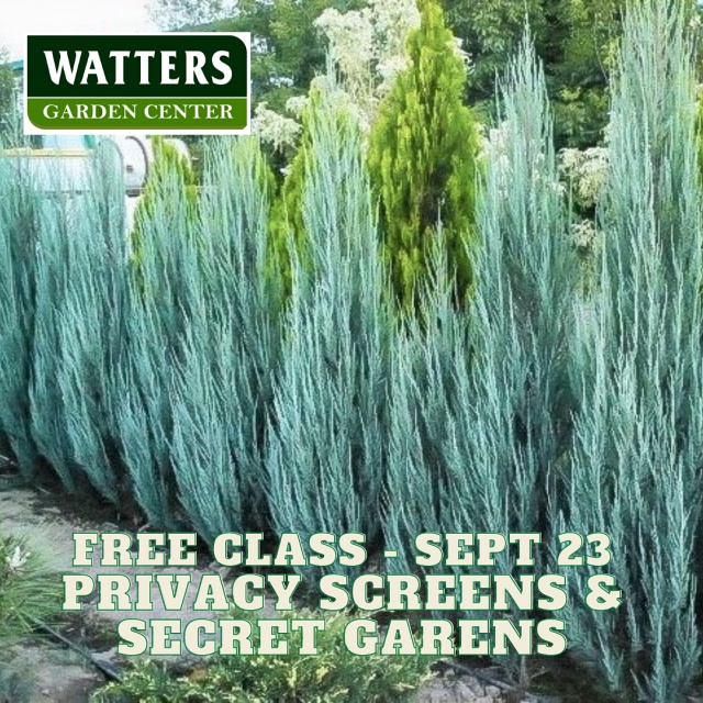 September 23 Class Privacy Screens and the Secret Garden