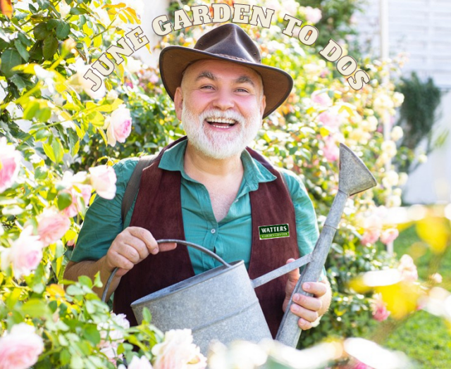 Things Smart Gardeners do in June
