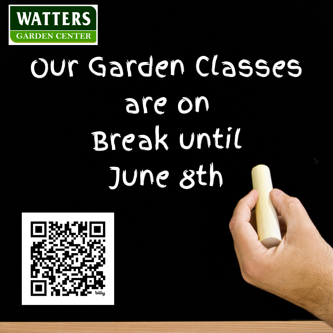 Garden Classes on Break Until June 8th