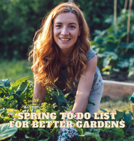 Spring to do List for Better Gardens