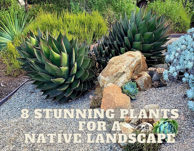 8 Stunning Plants for a Native Landscape