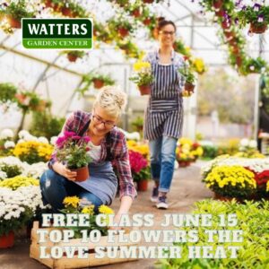 Free Class June 15 2024 Top 10 Flowers that Love the Summer Heat