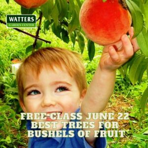 June 22 2024 Best Trees for Bushels of Fruit