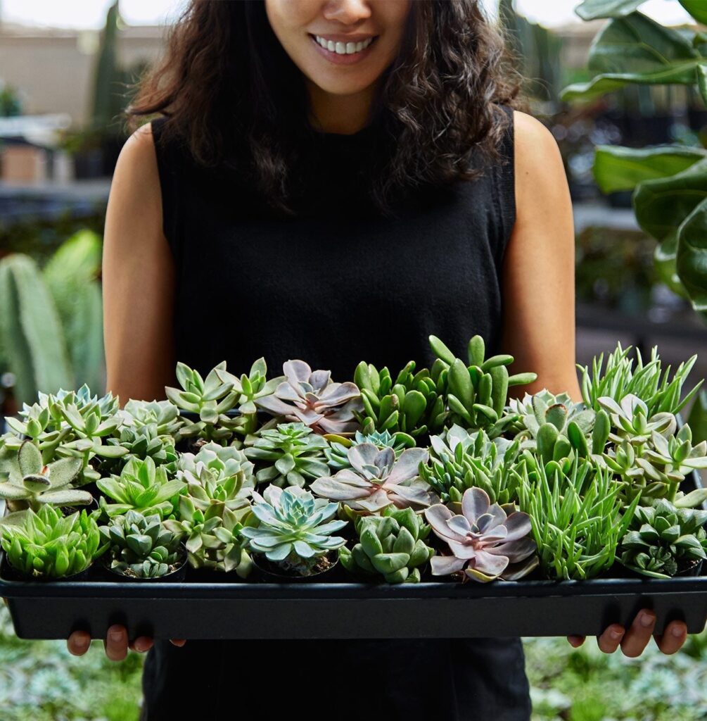 Woman with Succulents