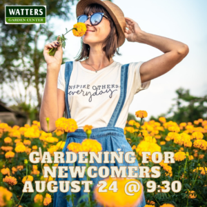 Free Garden Class Aug 24 Gardening for Newcomers