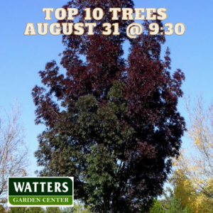 Free Garden Class Aug 31 Top 10 Trees