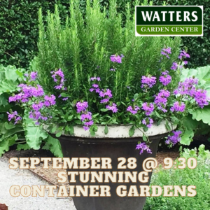 Free Garden Class Sept 28 Stunning Container Gardens